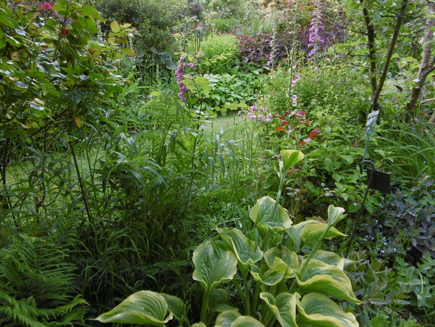 Jardin Ruffin 2