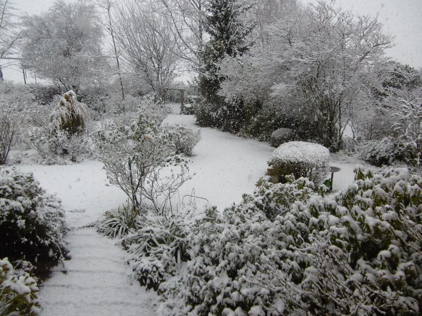 Jardin Ruffin