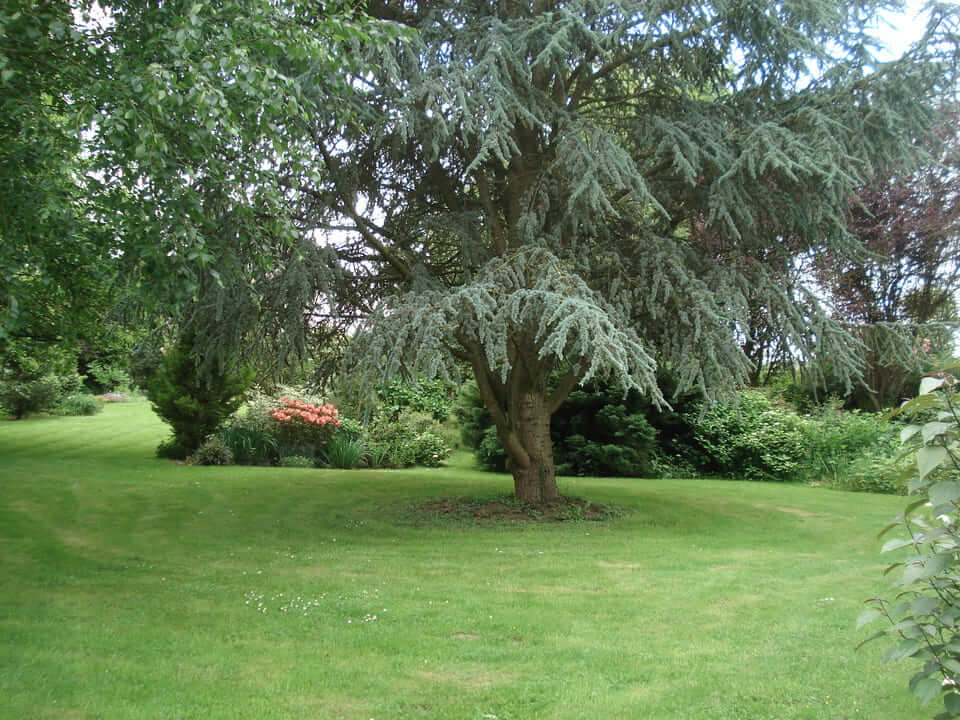 Jardin de la vallée 3