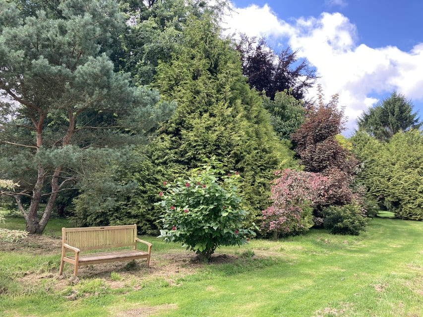 Perspective dans l_arboretum - Le Clos de Chanchore