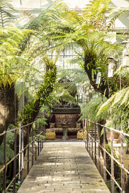 Serre de fougères - Jardin du Chateau de Champ de bataille