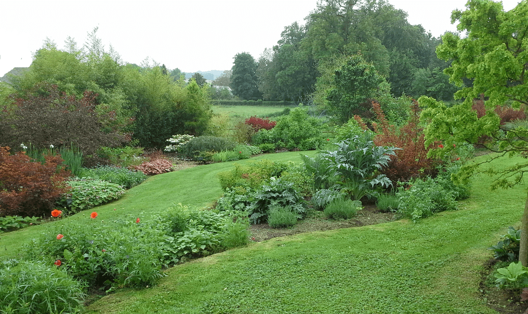 la promenade et les artichauts - Le crapaud à trois pattes