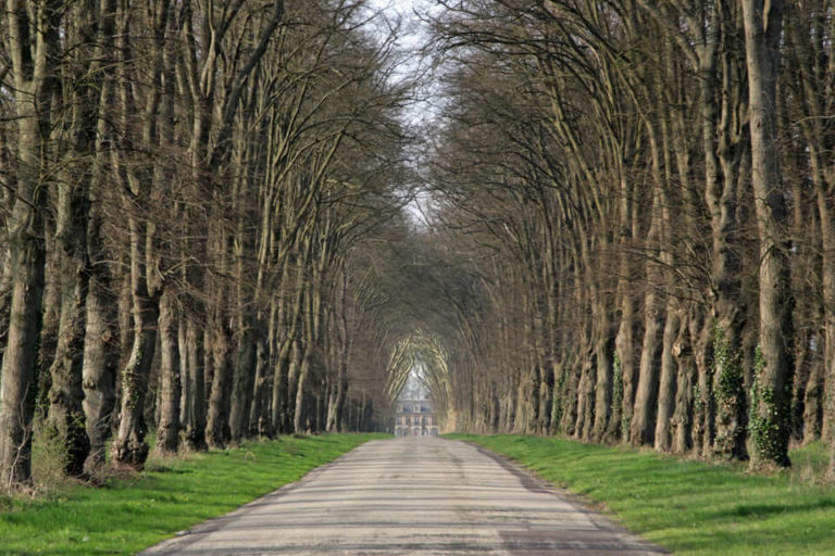 L'allee cathedrale d'Heudicourt