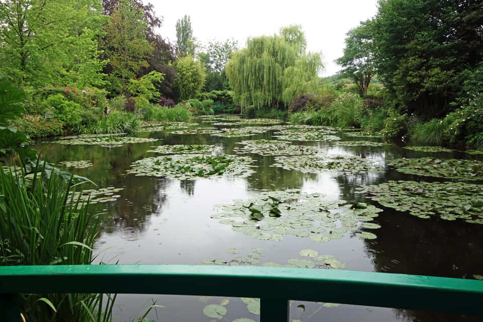 Bassin des nymphéas - Jardin Claude Monet