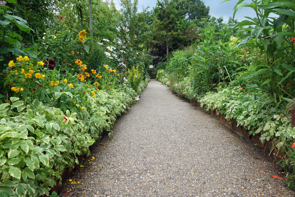 Bordures d'Aegopodium - Jardin Claud Monet