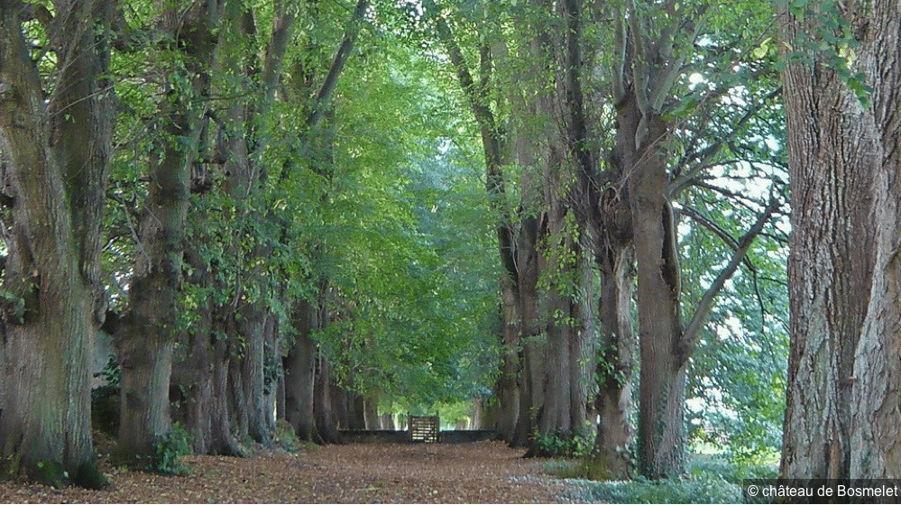 @Parc-et-Jardin-du-Château-de-Bosmelet