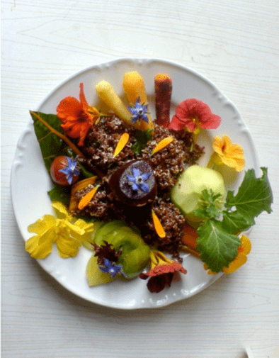 Assiette de légumes du potager - Bosmelet