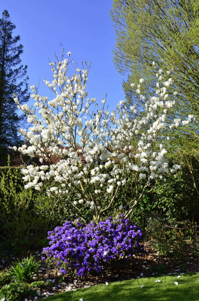 Jardin Les Hètres 