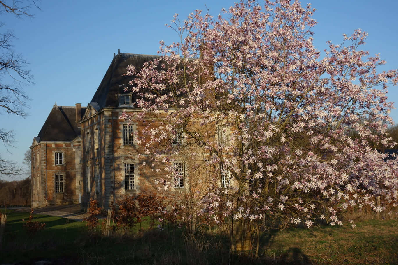 Parc-et-Jardin-du-Château-de-Bosmelet