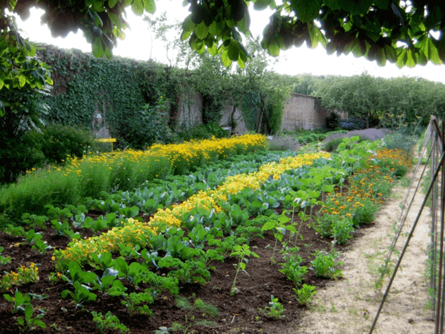 Potager - Bosmelet