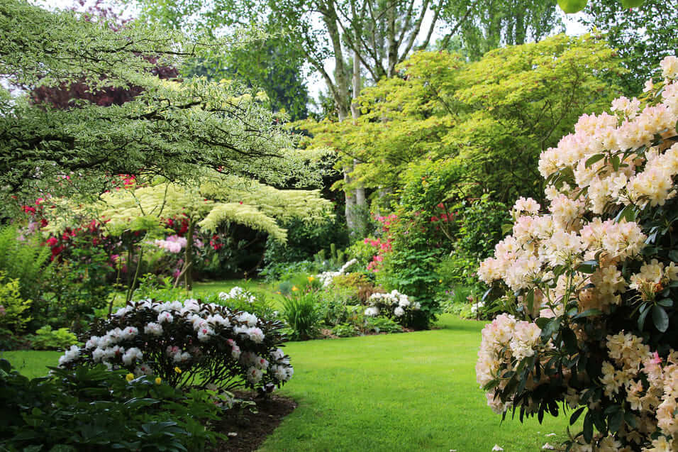 Jardin Les Hètres 