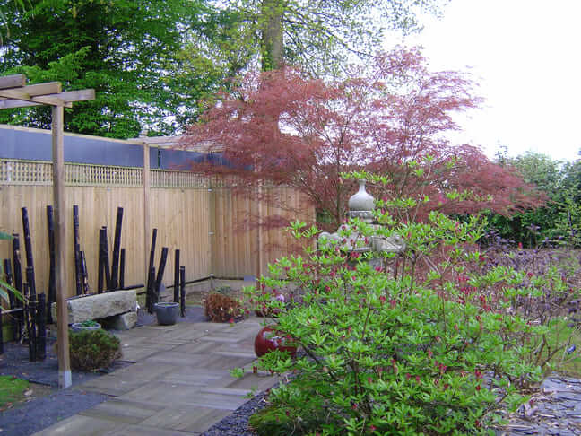 Coin repos dans un esprit japonais avec un acer palmatum red pygmy - Jardin de Valérianes