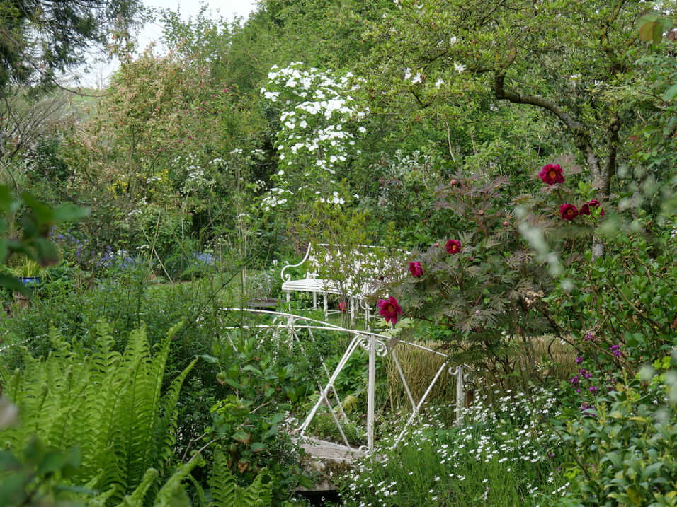 Jardins Angélique