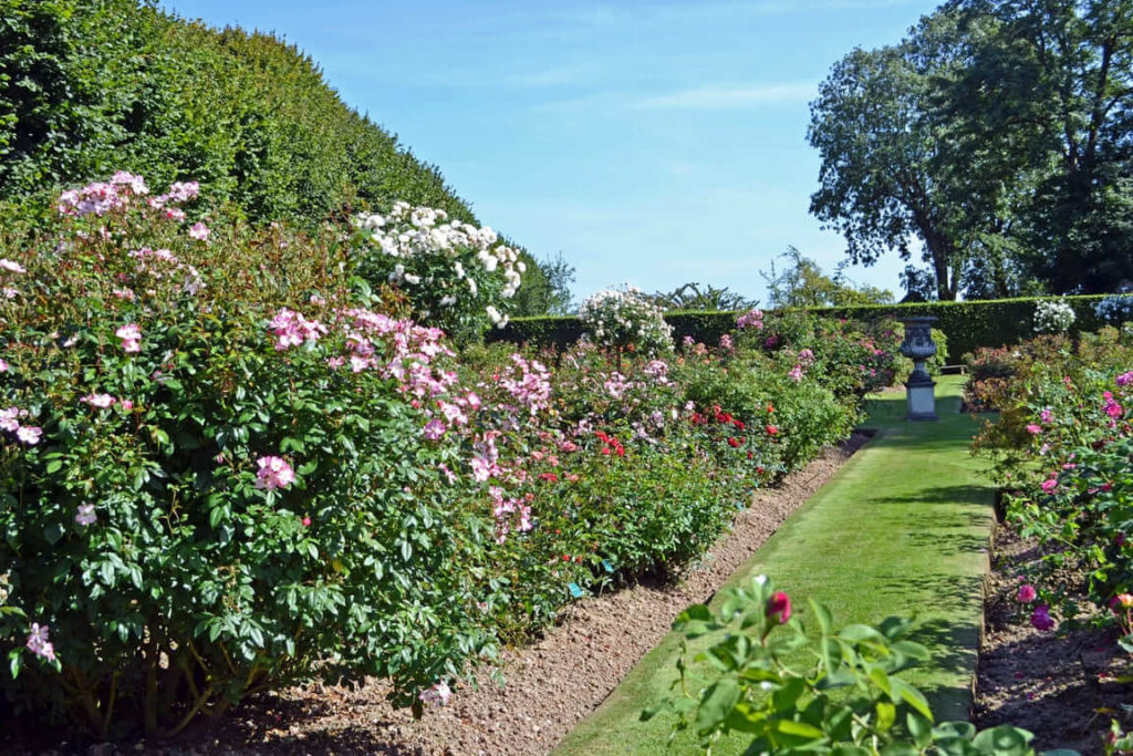 La roseraie de Mesnil-Geoffroy