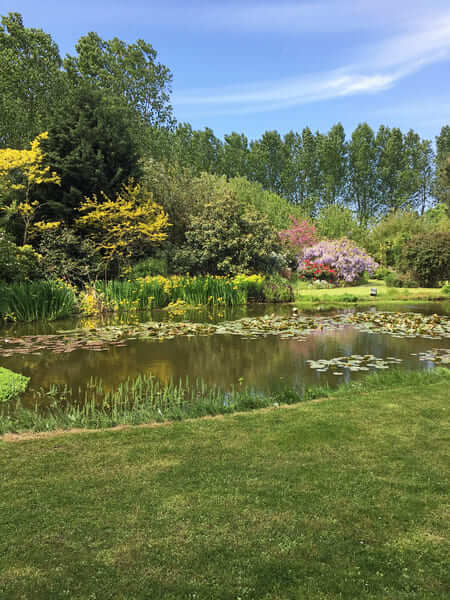 Le jardin d'eau ©CL