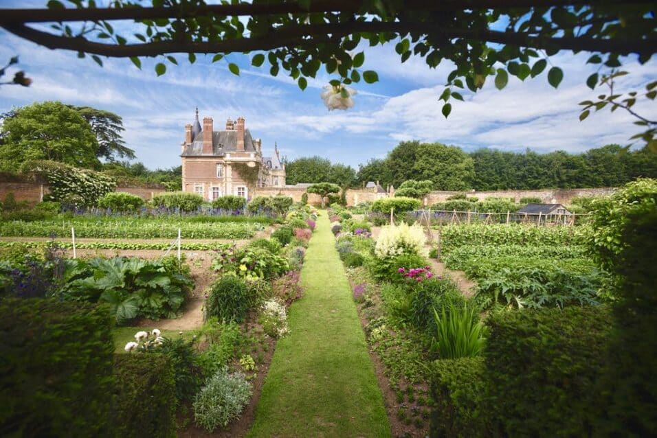 Potager du chateau de Miromesnil