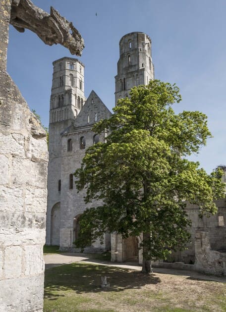 Parc de l'Abbaye de Jumièges