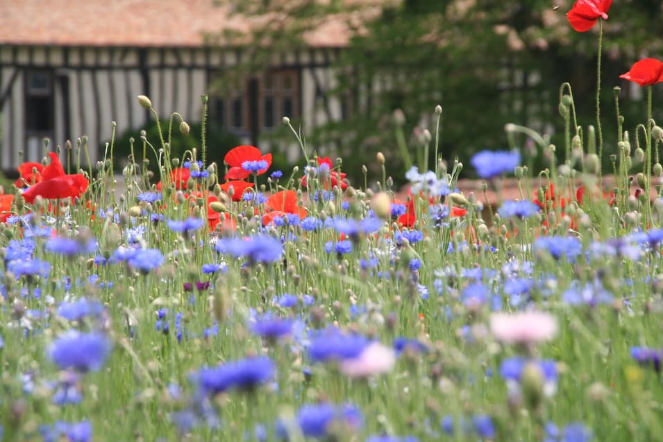 Jardins-du-Manoir-dHellenvilliers