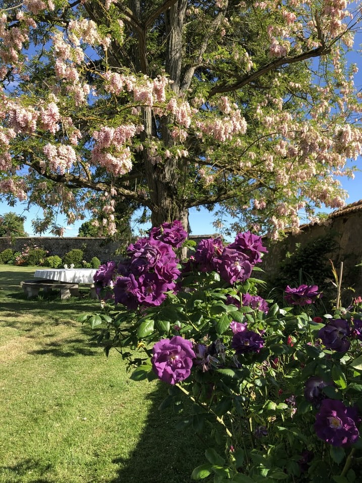 Jardins-du-Manoir-dHellenvilliers