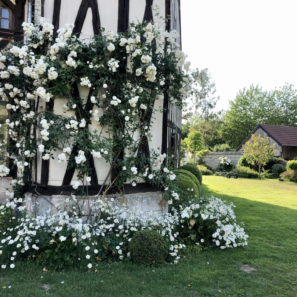 Jardins-du-Manoir-dHellenvilliers