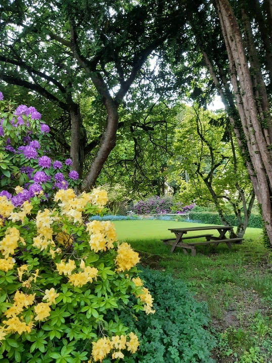 Jardin floral du chateau-de-Digeon
