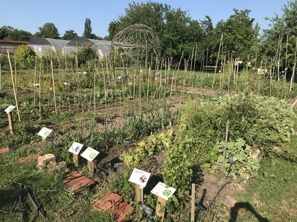 Jardin Potager du Domaine de Chambray (2)