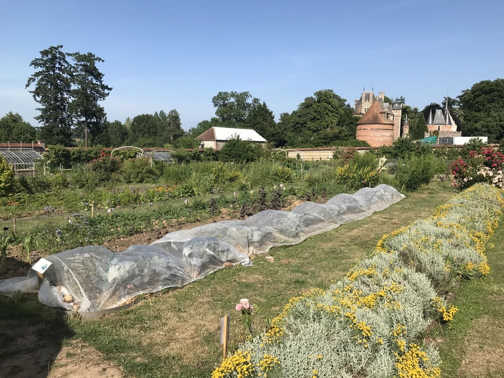 Jardin Potager du Domaine de Chambray (3)